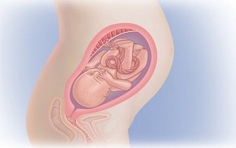 28 неделя беременности