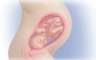 30 неделя беременности