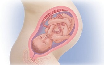 35 неделя беременная