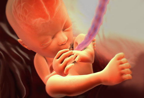 ребенок 27 неделя беременности