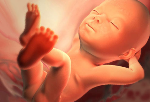 малыш 29 неделя беременности