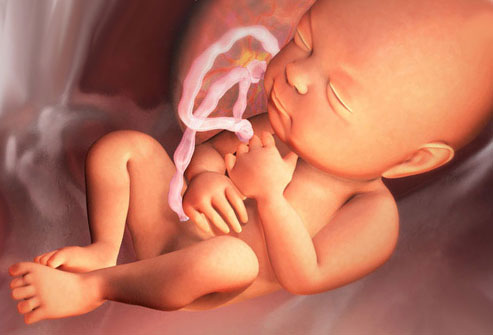 32 неделя беременности