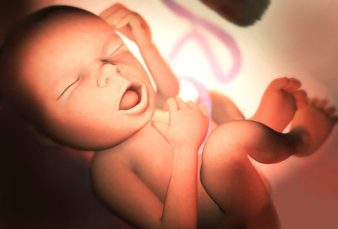 33 неделя беременности