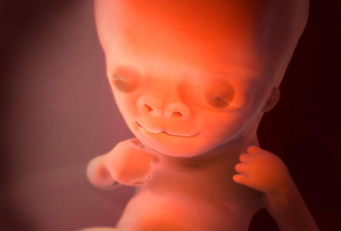 плод 9 недель